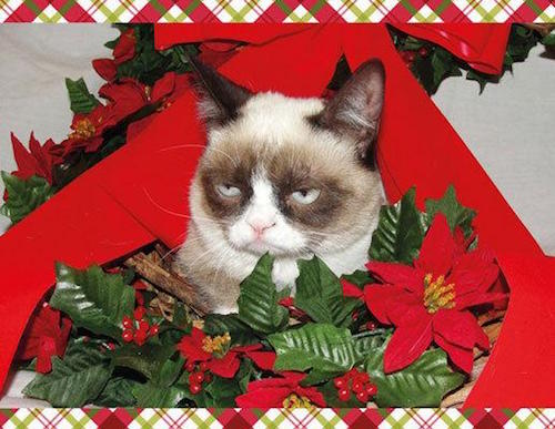 Grumpy Cat Mistletoe