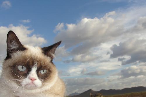 Grumpy Cat Sky