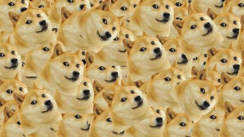 Multi Doge