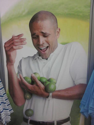 Why Cant I Hold All These Limes