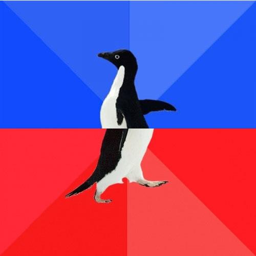 Socially Awkward Awesome Penguin