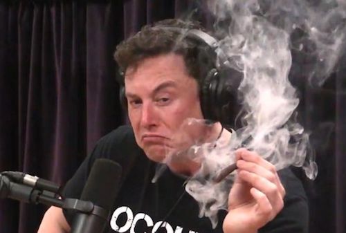 Elon Musk Smoking Weed